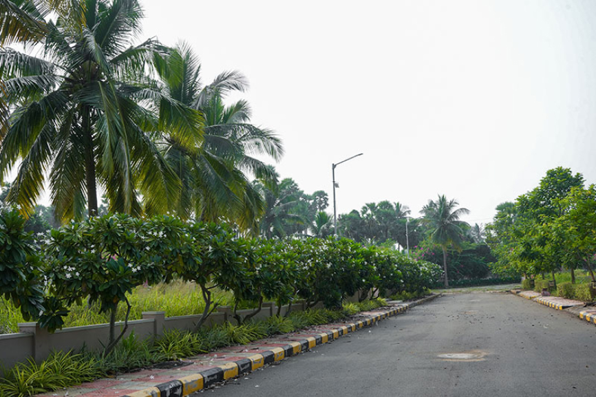 Urban Woods Layouts in Vizag